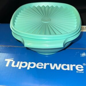 Tupperware Aqua Food Storage Container